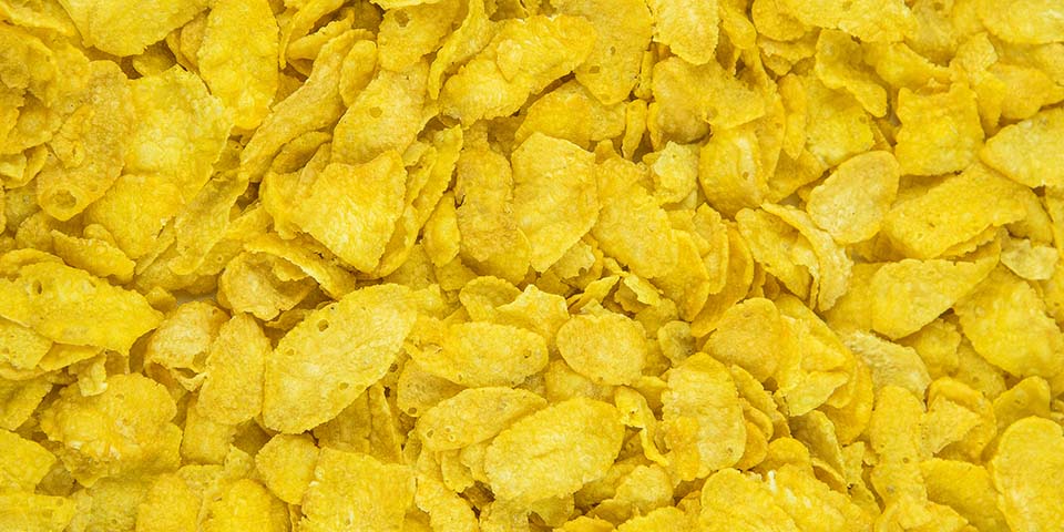Corn flakes, symbolising processed food