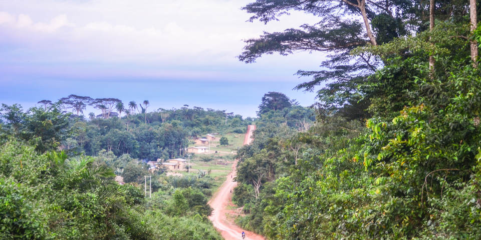 road in the countryside in Liberia